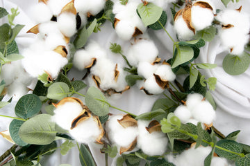 Cotton: A Timeless Material Reimagined for Eco-Friendly Living