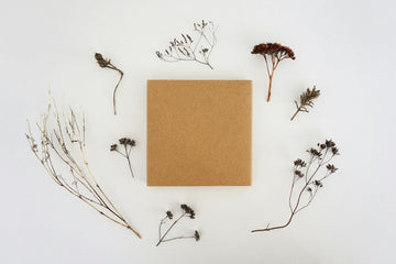 Kraft Paper: Premium Packaging That’s Simple, Sustainable, and Stylish