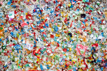 rPET: Giving Plastic Waste a Second Life