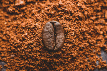 Coffee Grounds: From Brewed Beans to Sustainable Innovations