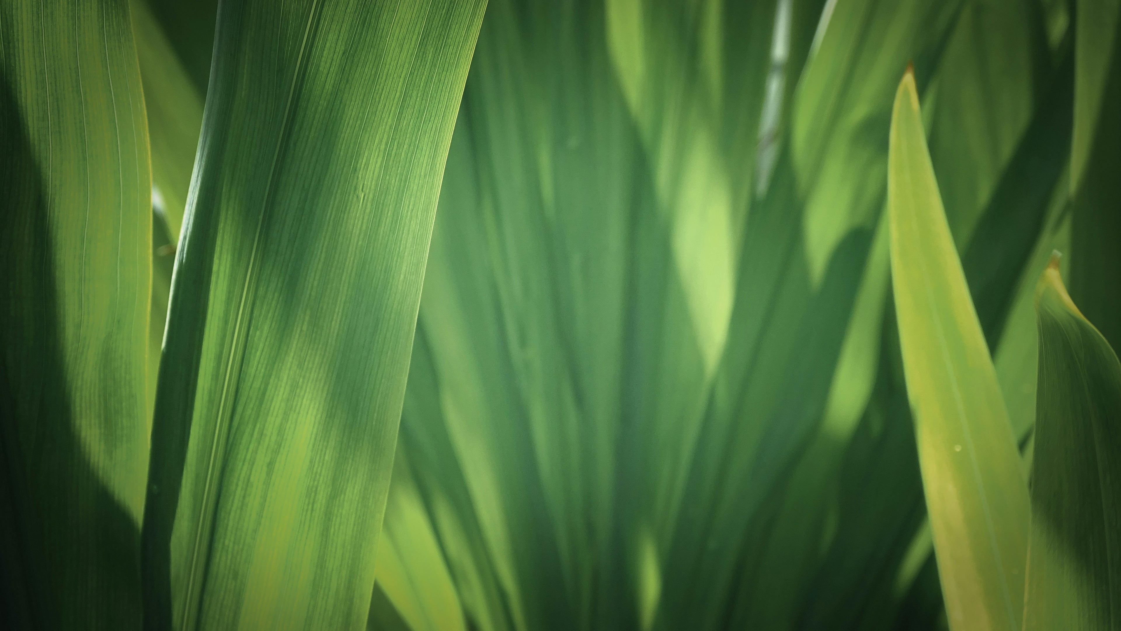 slider image slider_item_znjwqb